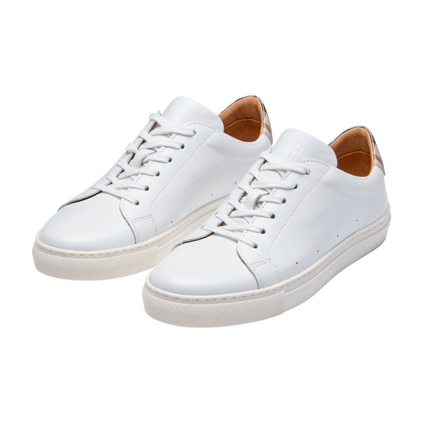 DAKS X GORAL TRAINER